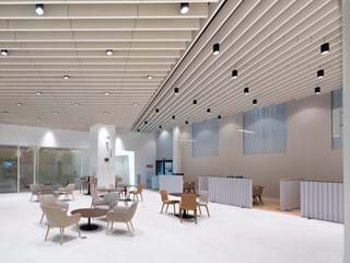 Free-hanging acoustic baffles in large room with groups of armchairs and tables