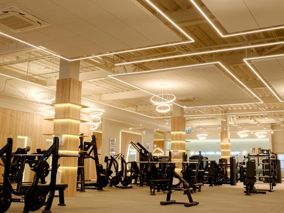 A spacious, modern gym with various weight machines and a bench in the foreground. The ceiling is adorned with elegant ring-shaped lights, and the area is well-lit with a clean, minimalist design.