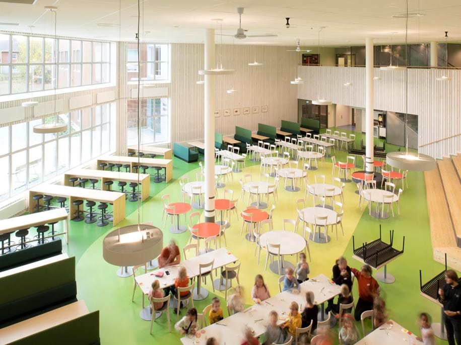 Suspended acoustic ceiling in large auditorium and dining area