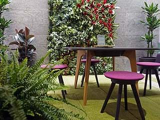 Table and chair in room with biophilic design