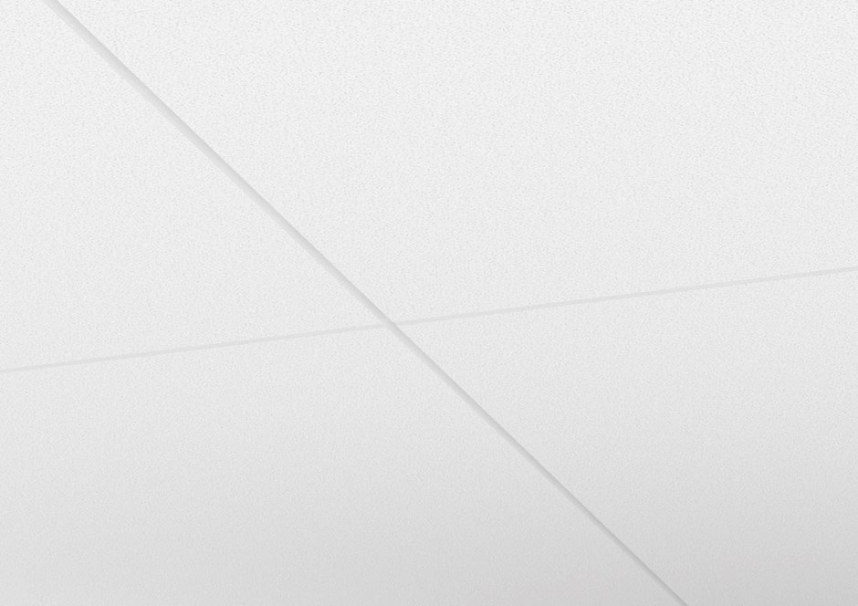 Focus Fixiform Ds system