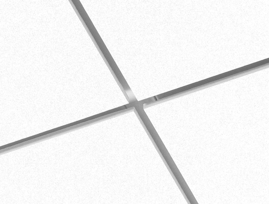 System Focus Dg