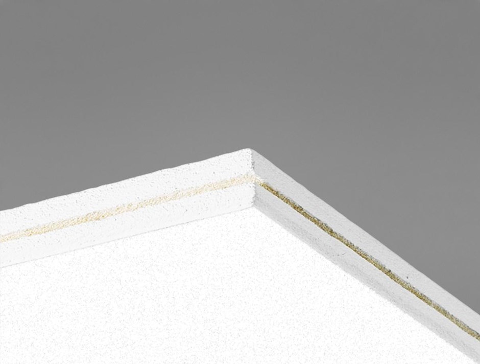 Focus Frieze Akustikdeckenplatte 