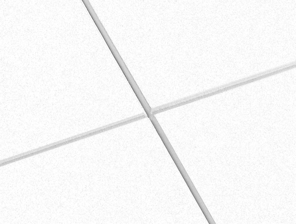 Focus F System