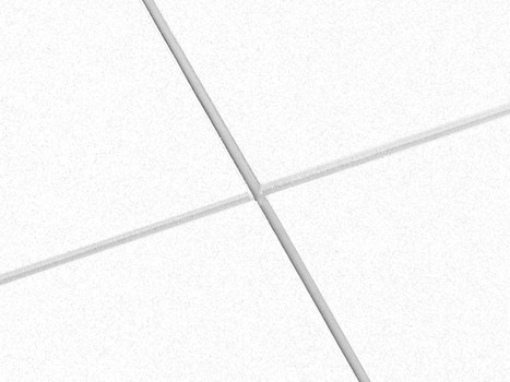 Focus F -järjestelmä