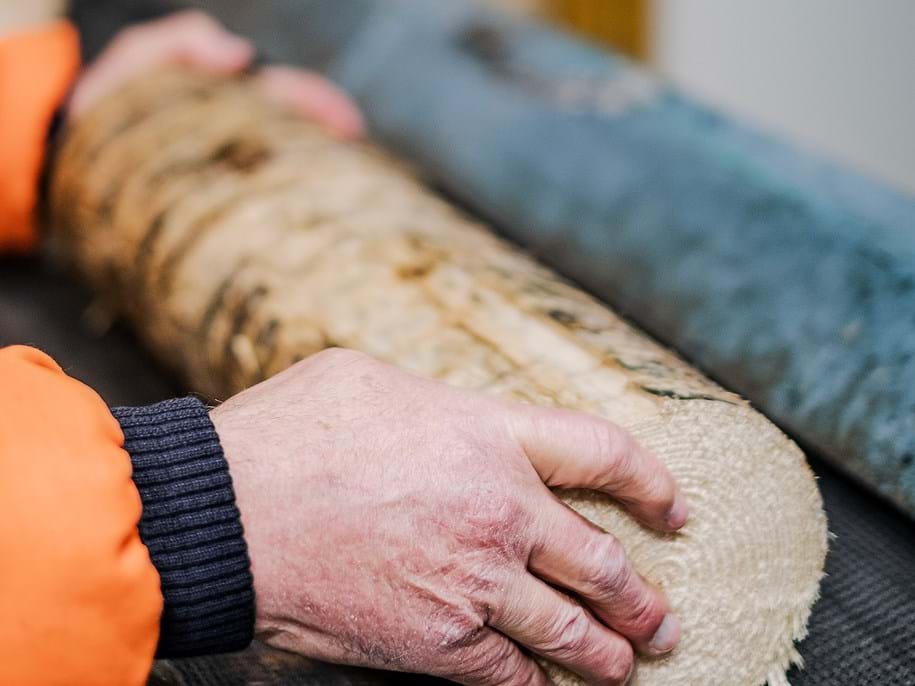 Two hands holding a cut log of wood