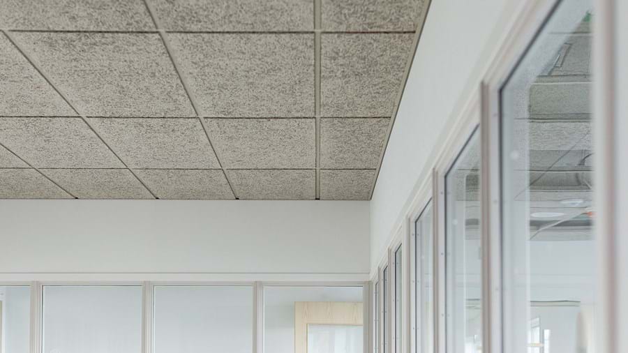 A minimalist office interior with a focus on the ceiling, which is made of grey acoustic, wood wool tiles. The walls are white, and there are large windows and a wooden door visible on the side. The space appears quiet and well-lit.