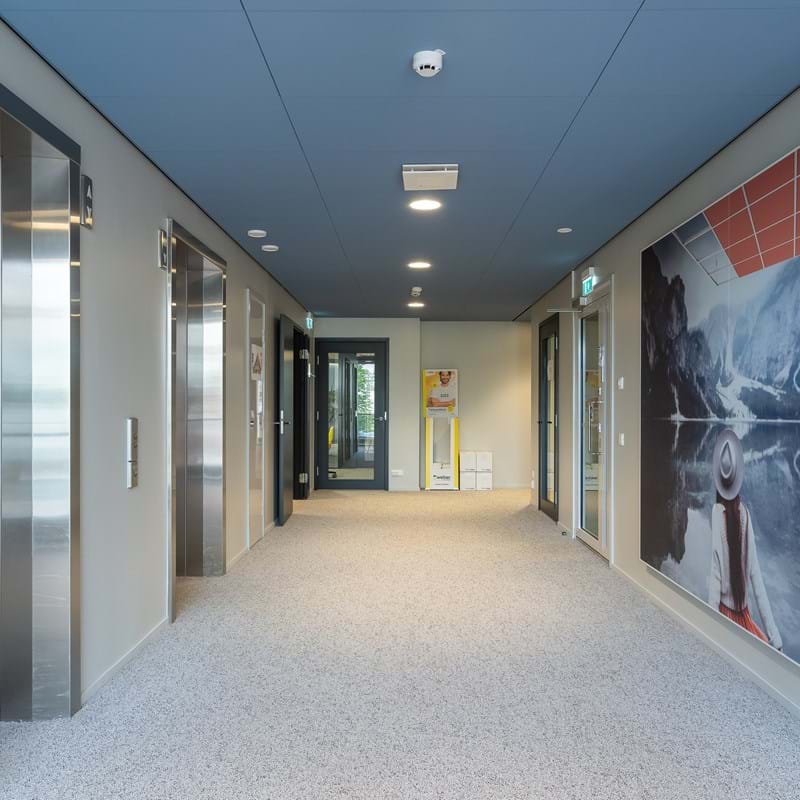 Blue, suspended acoustic ceiling in office corridor with elevators to the left and large acoustic wall panels with image to the right
